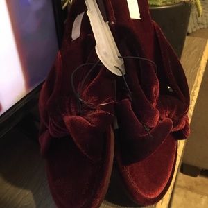 New stars and above crushed velvet slippers